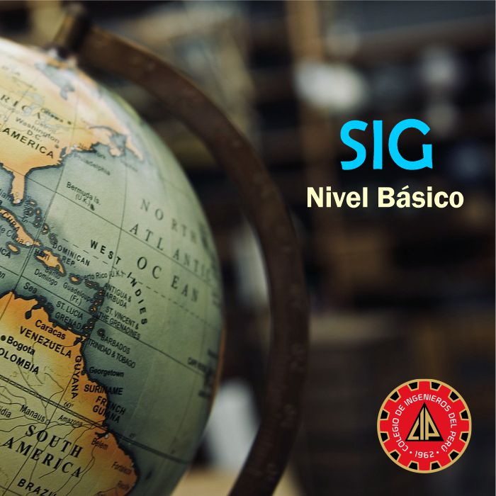 SIG-Basico2 700x700
